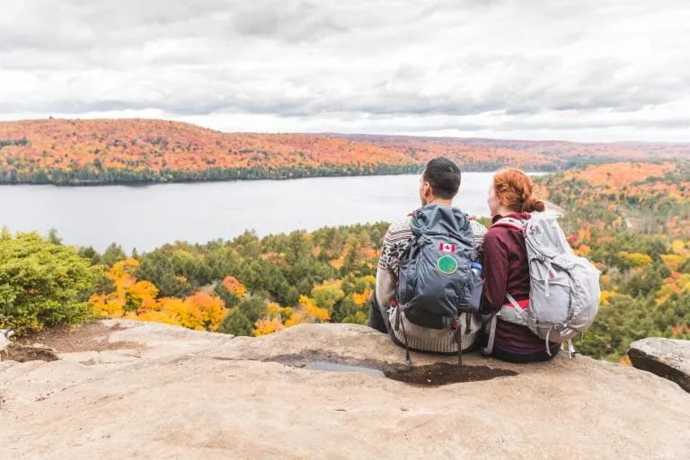 adobestock 164956254 768x512