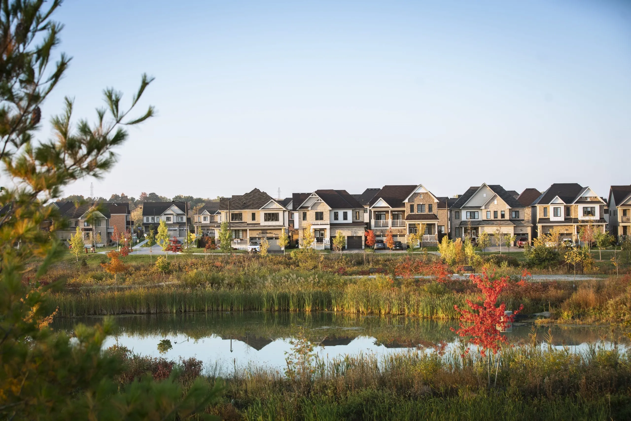 avalon communitypond